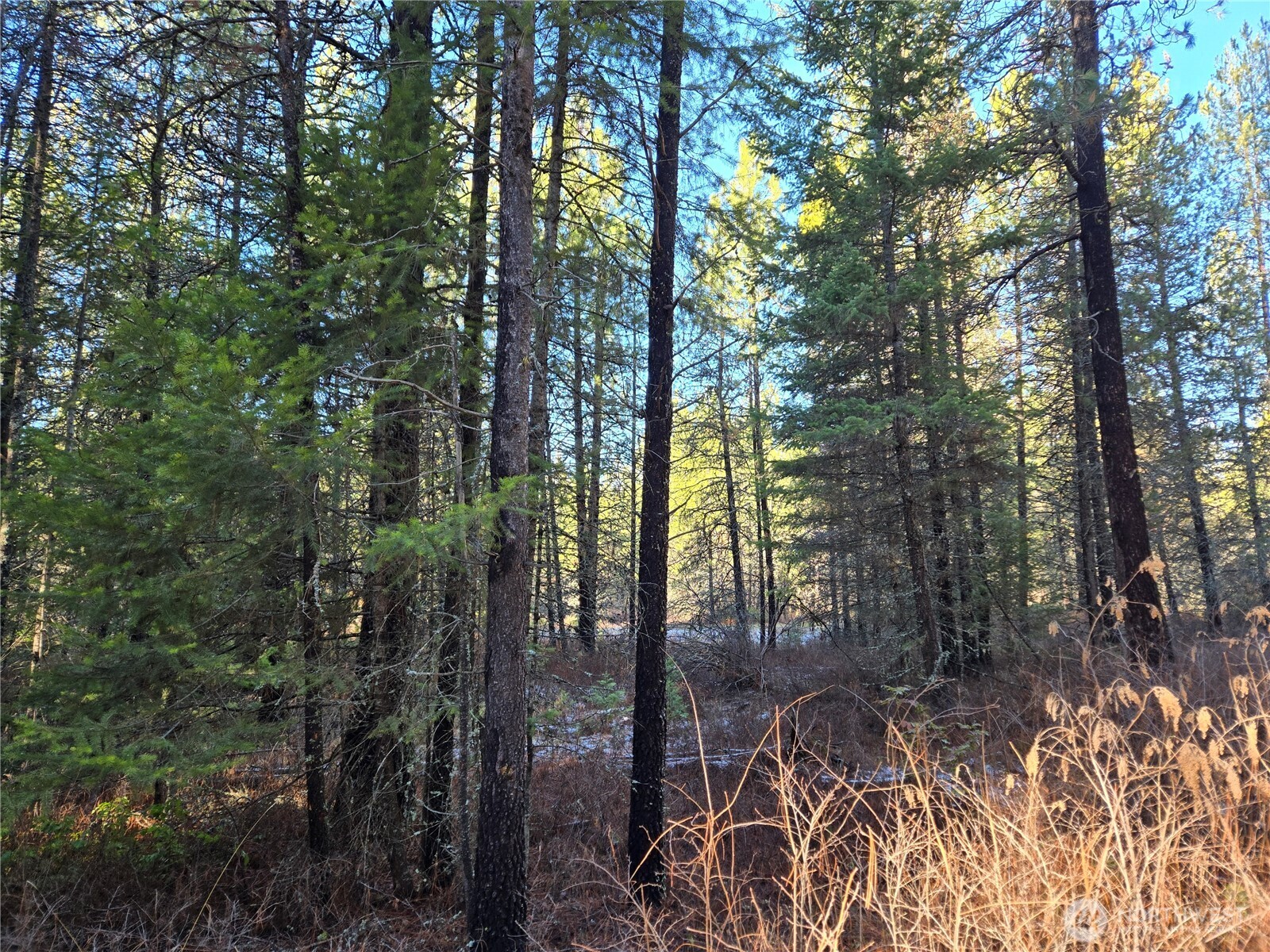 0 West Jump Off Joe Road Valley, WA 99181 - Photo 3 of 23