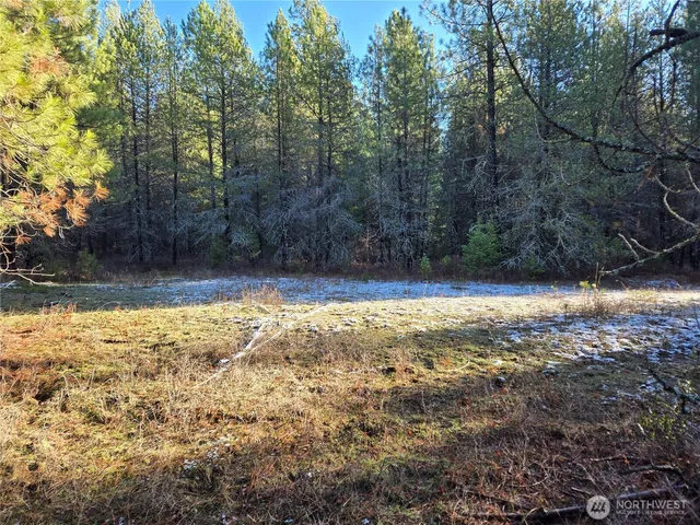 $349,000 | 0 West Jump Off Joe Road, Valley, WA 99181