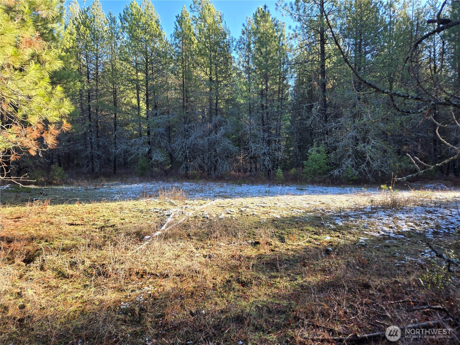 0 West Jump Off Joe Road Valley, WA 99181 - Photo 4 of 23