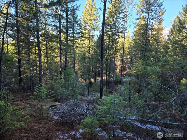 $349,000 | 0 West Jump Off Joe Road, Valley, WA 99181