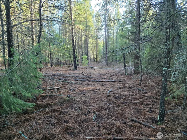 $349,000 | 0 West Jump Off Joe Road, Valley, WA 99181