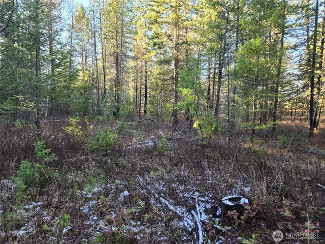 $349,000 | 0 West Jump Off Joe Road, Valley, WA 99181