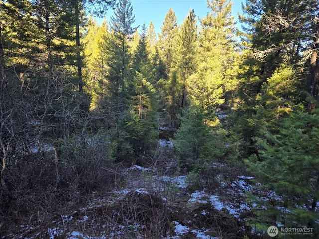 $349,000 | 0 West Jump Off Joe Road, Valley, WA 99181