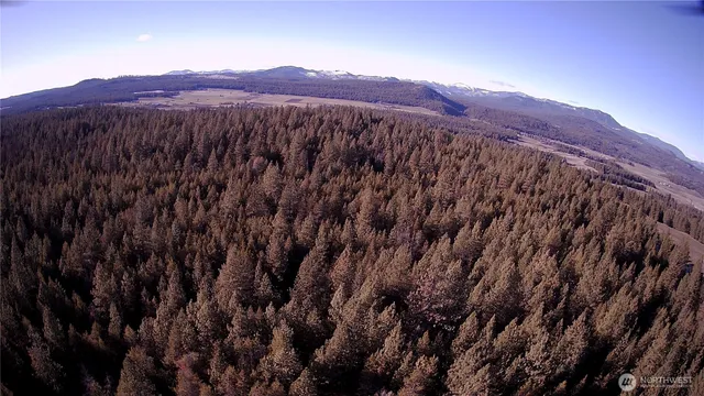 $349,000 | 0 West Jump Off Joe Road, Valley, WA 99181