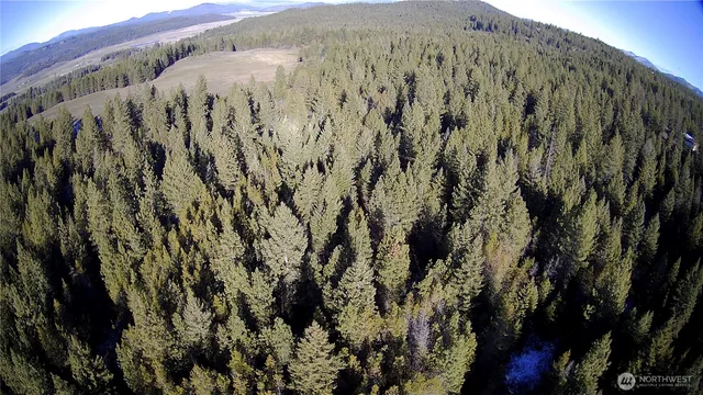 $349,000 | 0 West Jump Off Joe Road, Valley, WA 99181