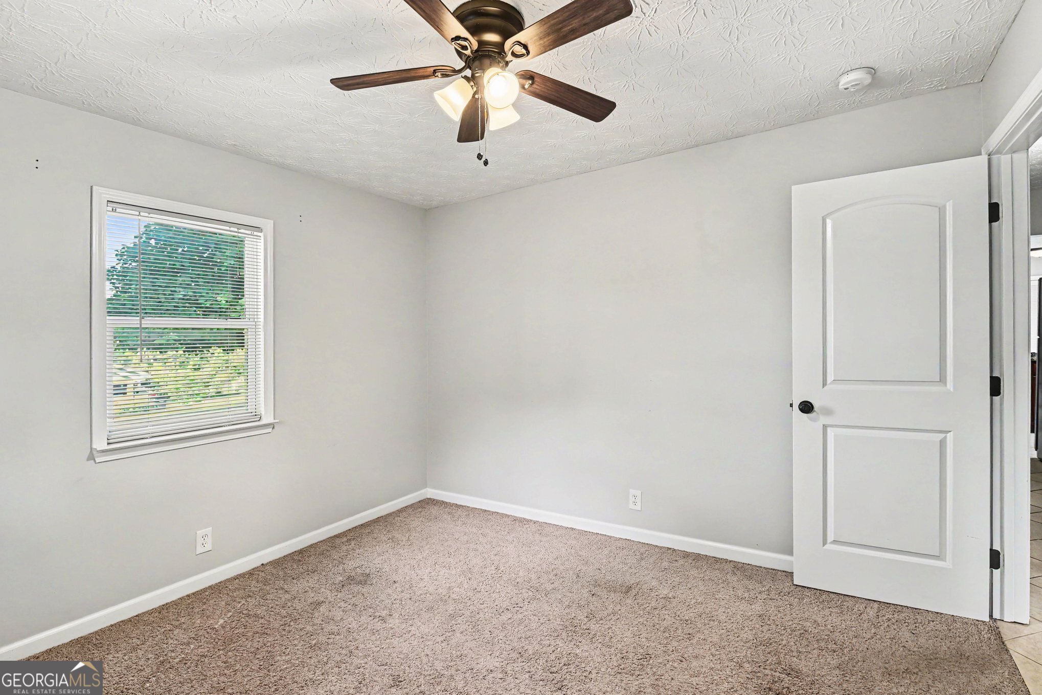 237 Palmetto Road Tyrone, GA 30290 - Photo 21 of 28