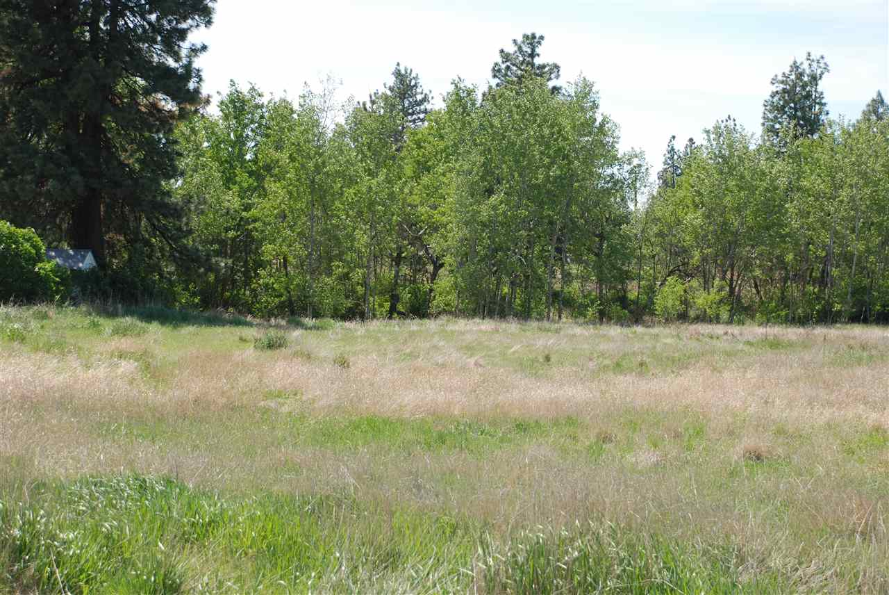 15424 West White Road Medical Lake, WA 99022 - Photo 15 of 18 Gallery Image 15