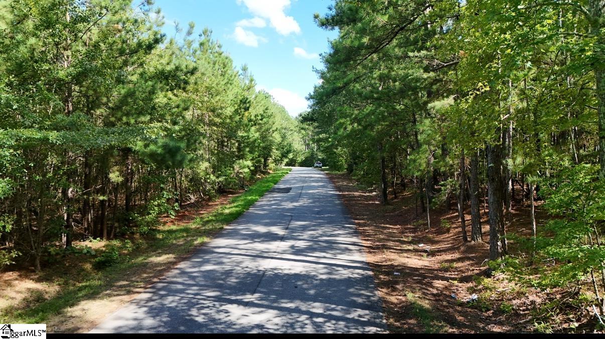 0 Neighbors Road, Unit AND DOUBLE A TRAIL Clinton, SC 29325 - Photo 3 of 6