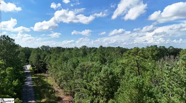 $140,000 | 0 Neighbors Road, Unit AND DOUBLE A TRAIL, Clinton, SC 29325