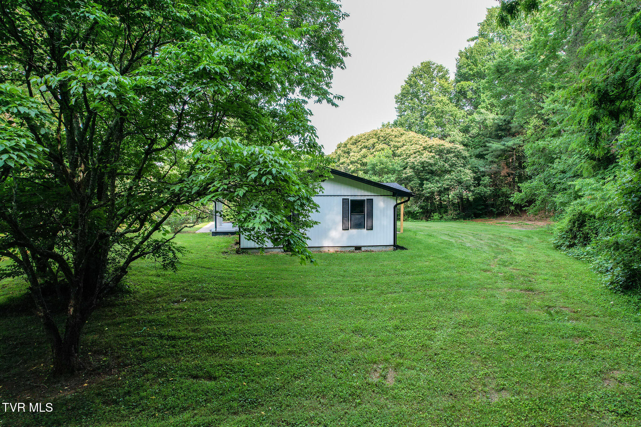 113 Paul Mathes Road Chuckey, TN 37641 - Photo 38 of 55 DJI_0638
