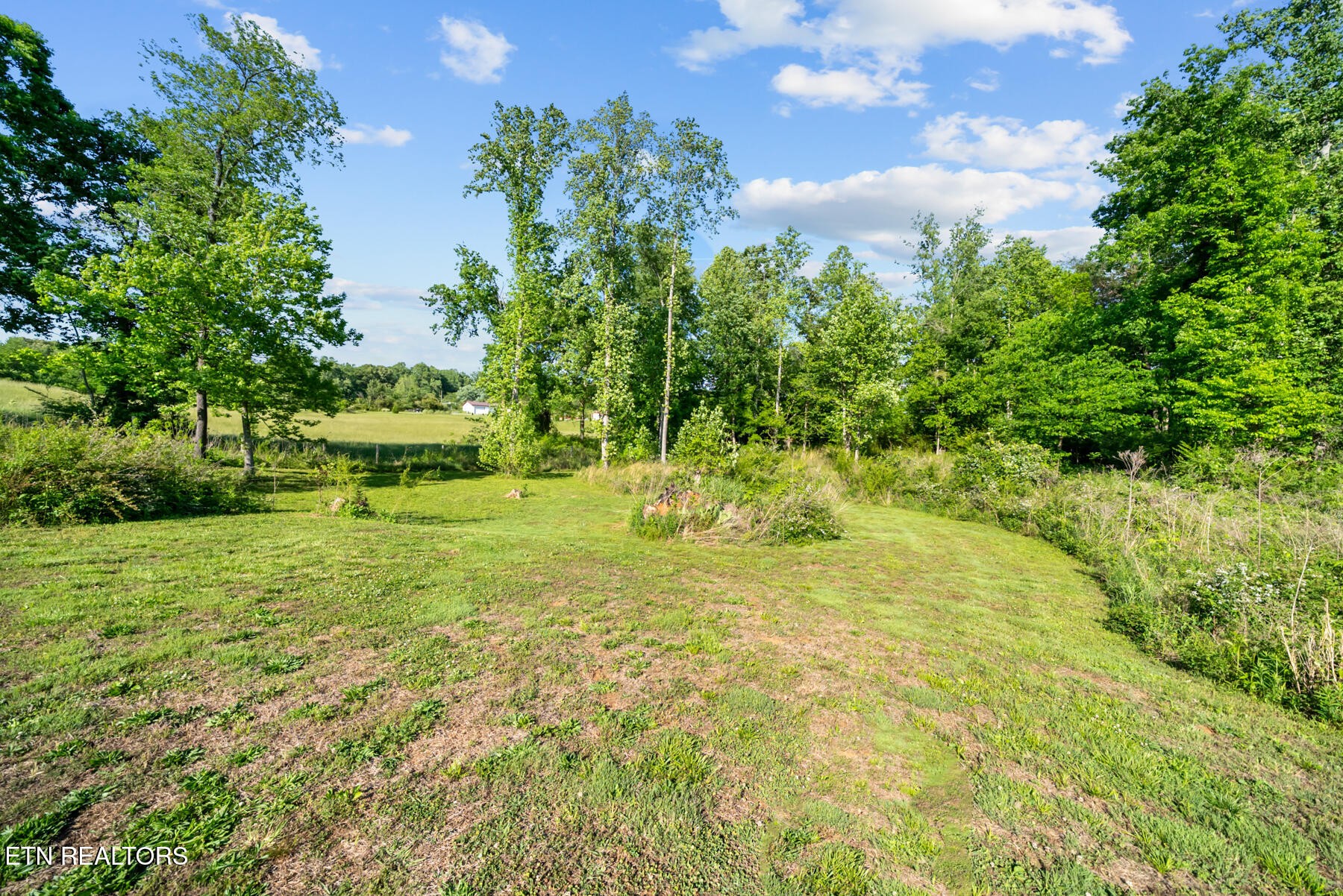390 Sparkman Town Road Rock Island, TN 38581 - Photo 26 of 33 a view of a garden with a bench
