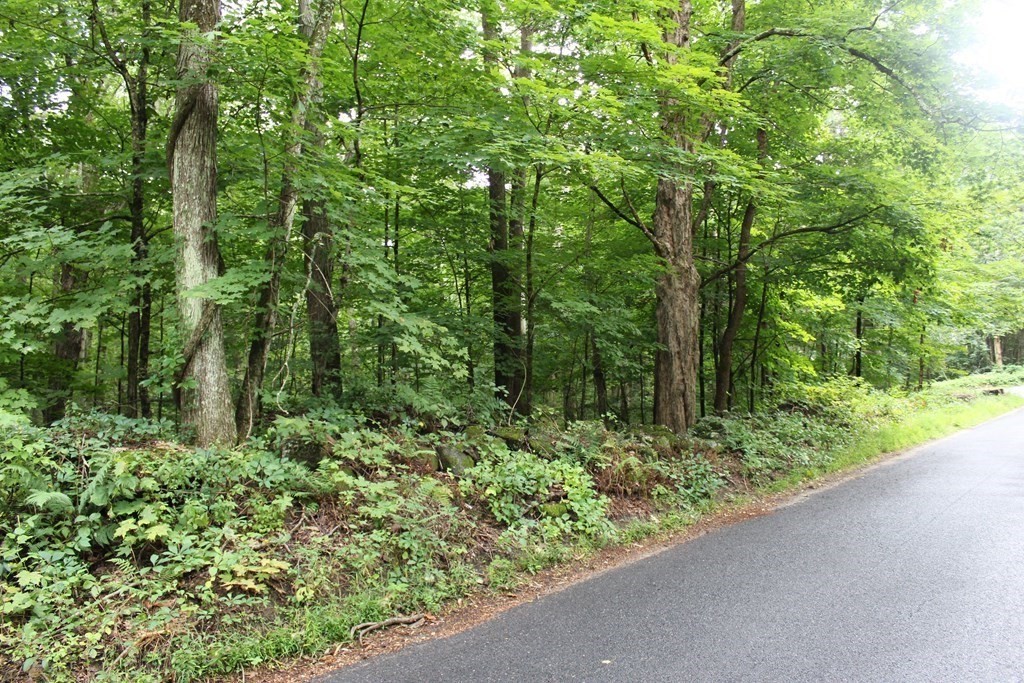 Lot 5 Cedar Swamp Road Monson, MA 01057 - Photo 5 of 7 Gallery Image 5