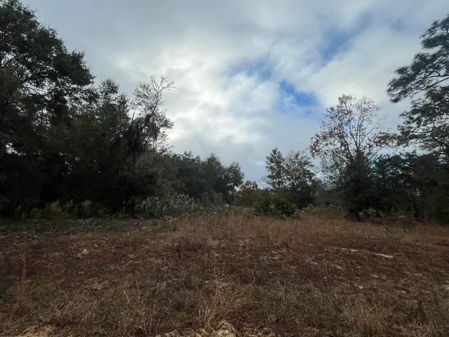 $10,400 | 512 Dogwood Avenue, Georgetown, FL 32139