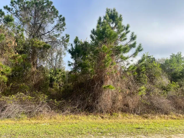 a view of a lake view
