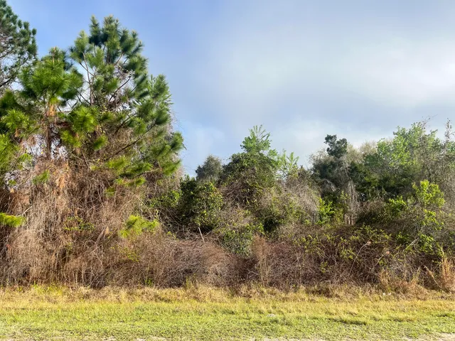a view of outdoor space and yard