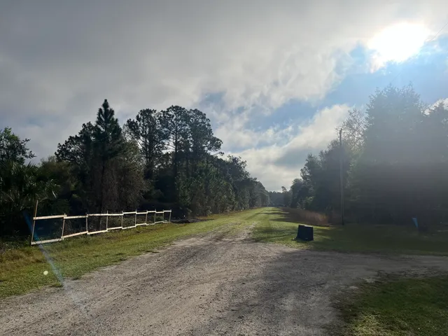 a view of a yard with a tree
