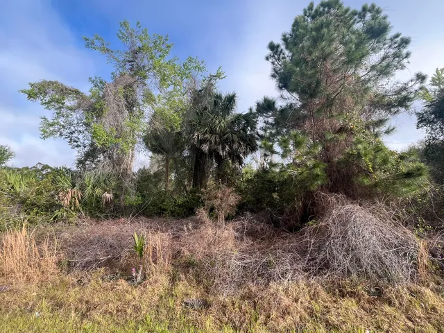 a view of an outdoor space and a yard