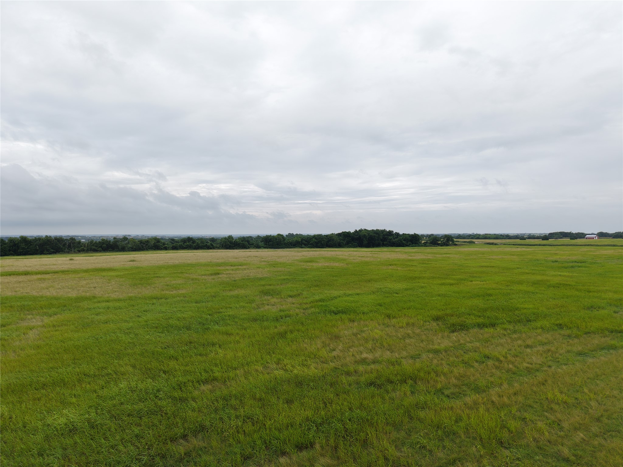 532 East Hillyard Road Troy, TX 76579 - Photo 7 of 16 View of nature featuring rural landscape