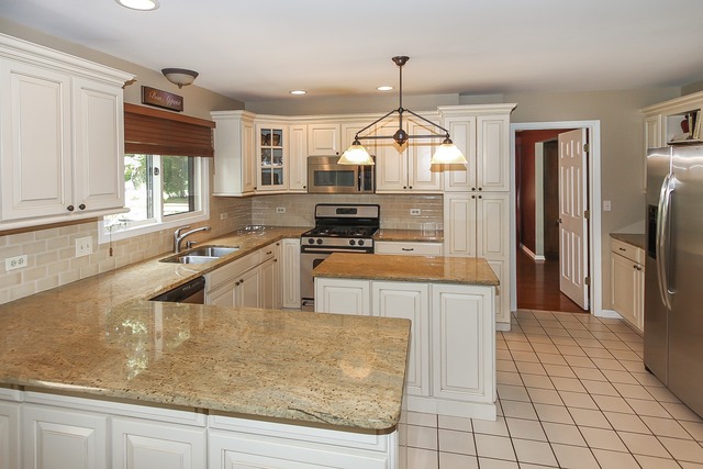 650 Raintree Court Buffalo Grove, IL 60089 - Photo 7 of 25 a kitchen with stainless steel appliances granite countertop a sink a stove and a refrigerator