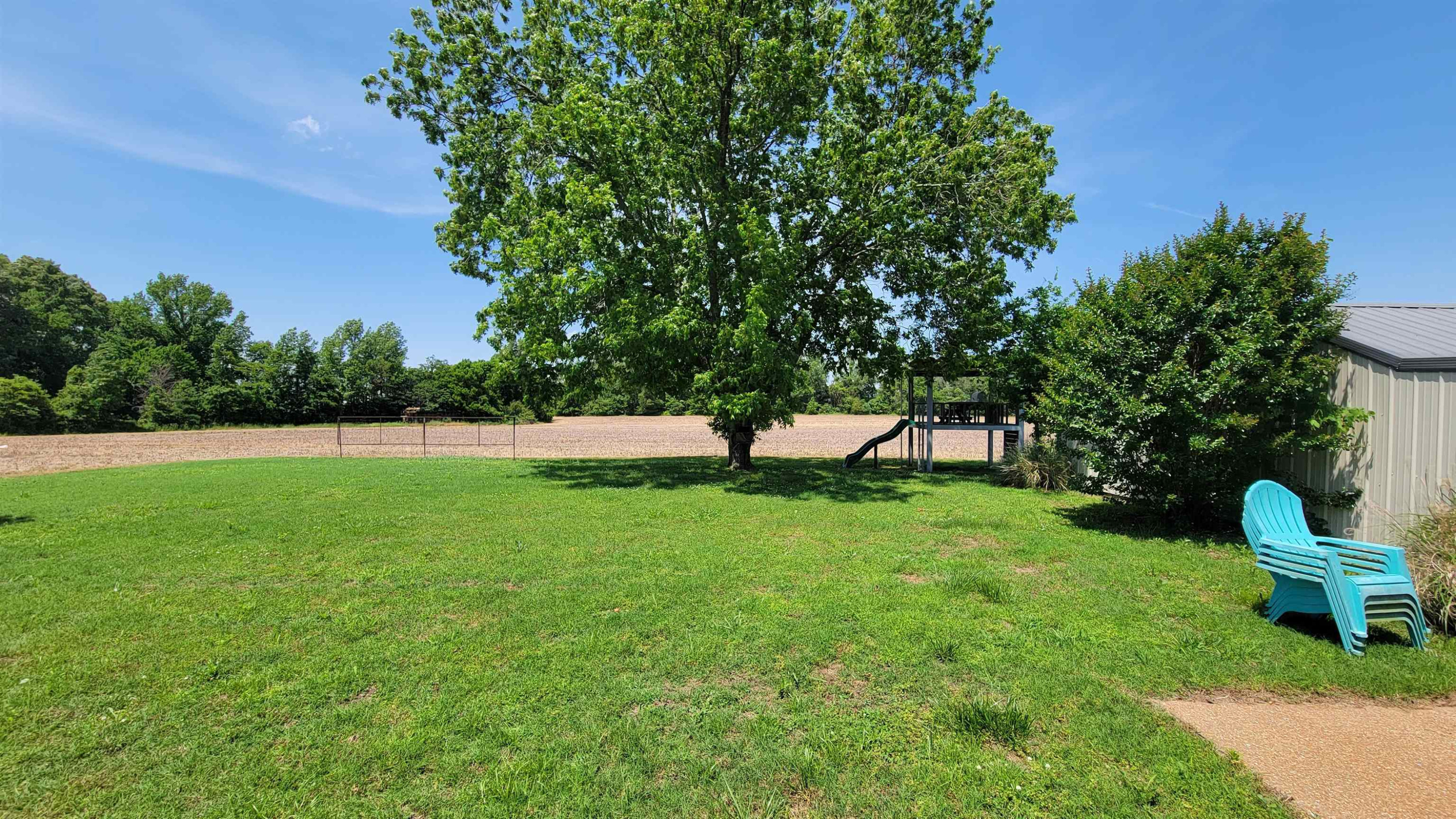 183 Spring Creek Law Road Jackson, TN 38305 - Photo 12 of 42 a view of a park with large trees