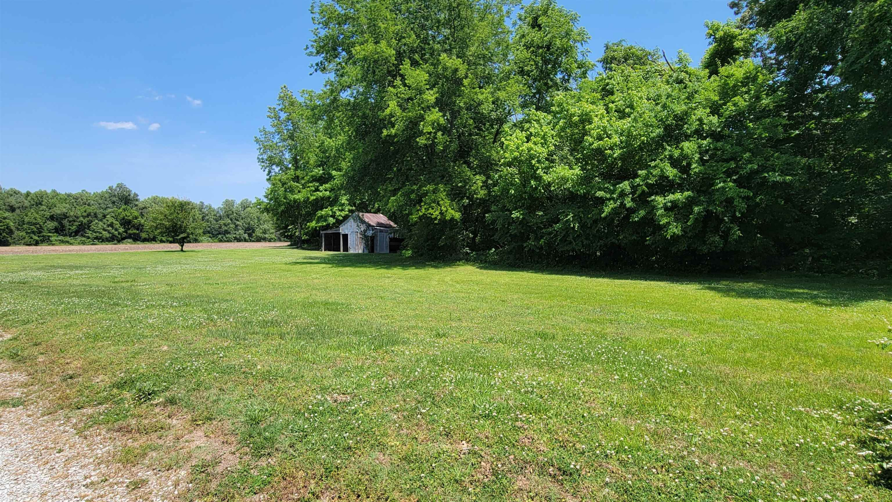 183 Spring Creek Law Road Jackson, TN 38305 - Photo 14 of 42 a view of a field of grass and trees