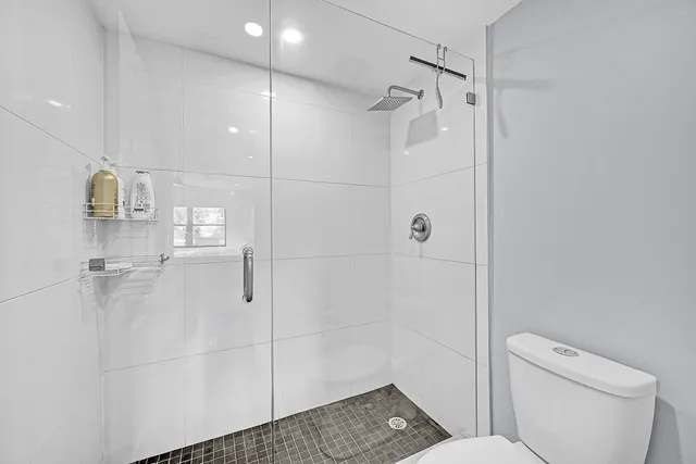 a bathroom with a shower and toilet