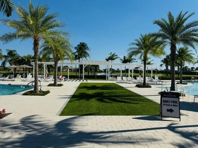 a view of a yard with palm trees