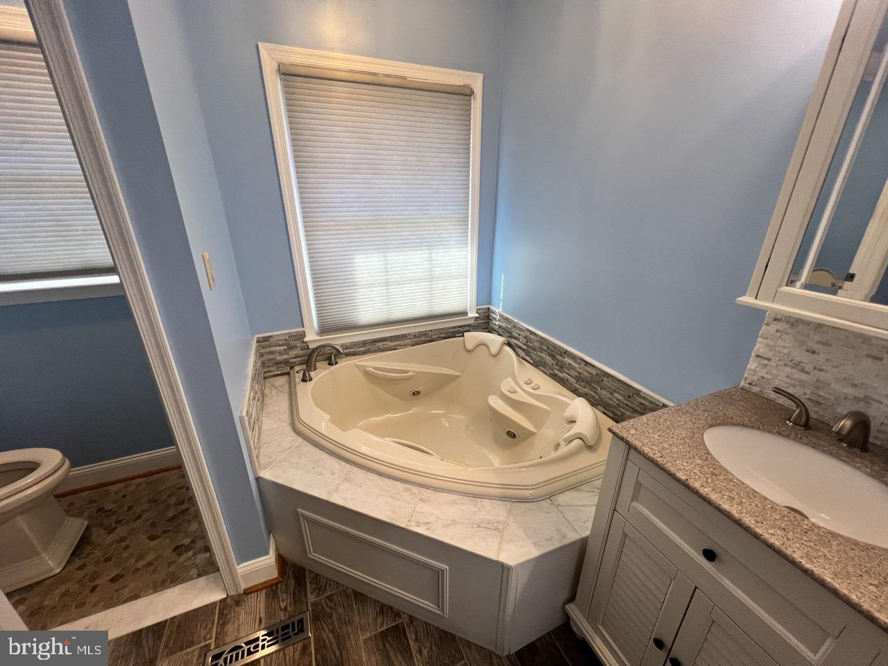 3502 Old Jones Road Dunkirk, MD 20754 - Photo 25 of 61 a bathroom with a sink and a toilet