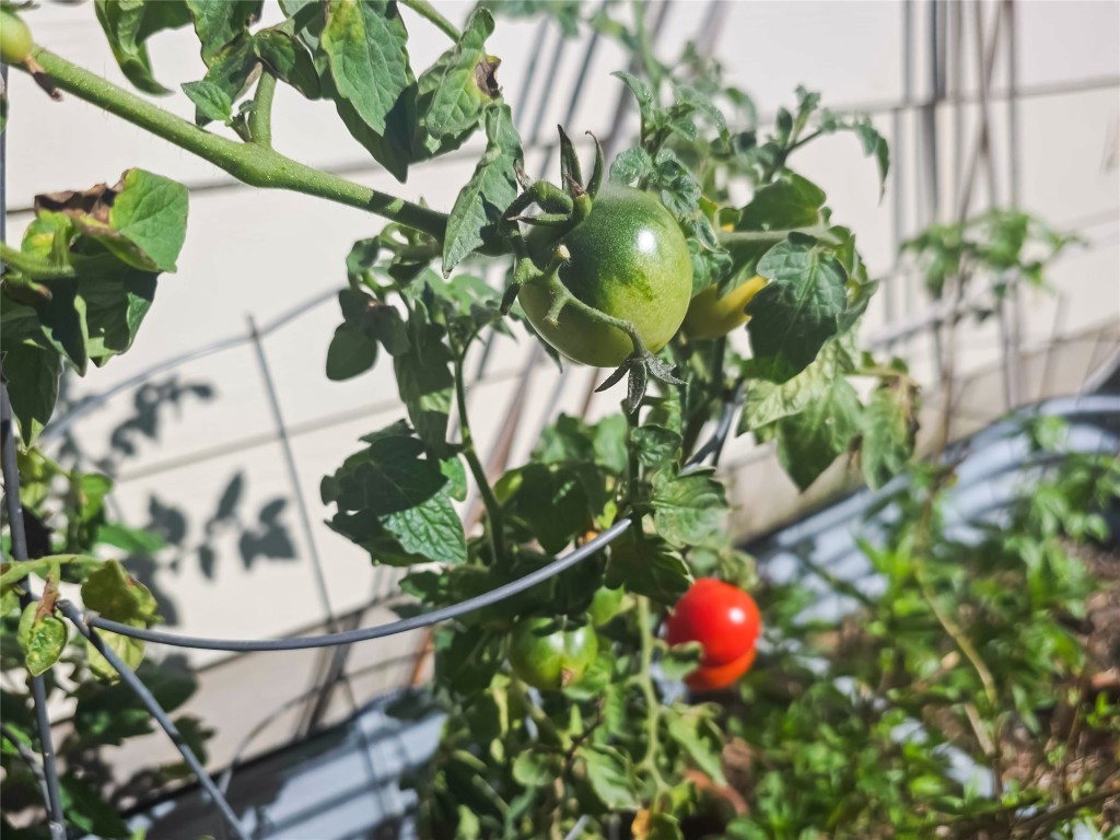410 Inks Lane Kyle, TX 78640 - Photo 3 of 20 Exterior view