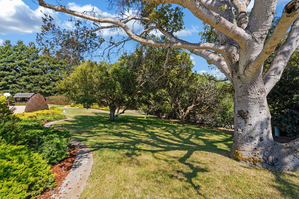 18383 Meadow Ridge Road Salinas, CA 93907 - Photo 84 of 90 Gallery Image 84