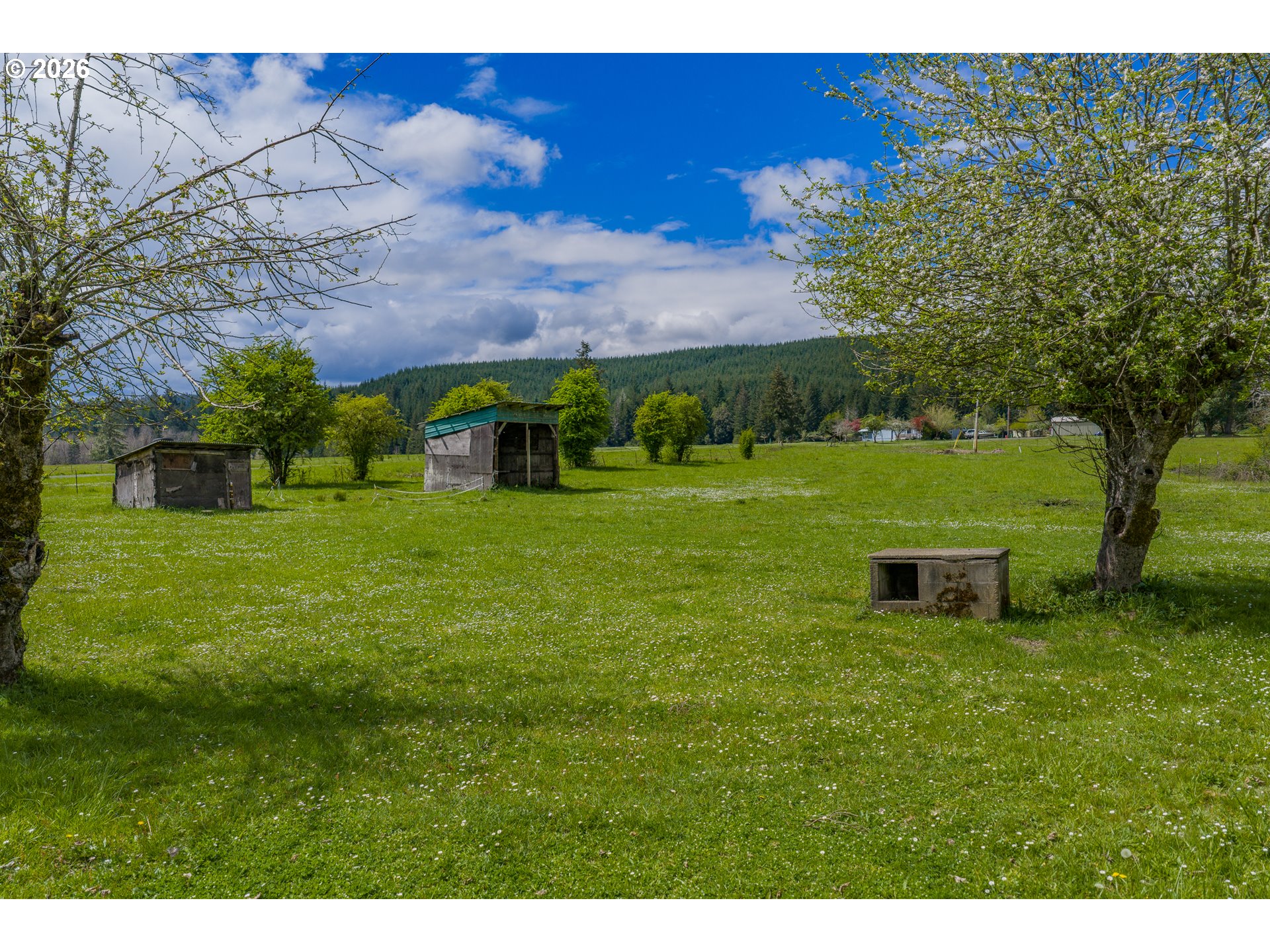 60192 Fairview Road Coquille, OR 97423 - Photo 6 of 44