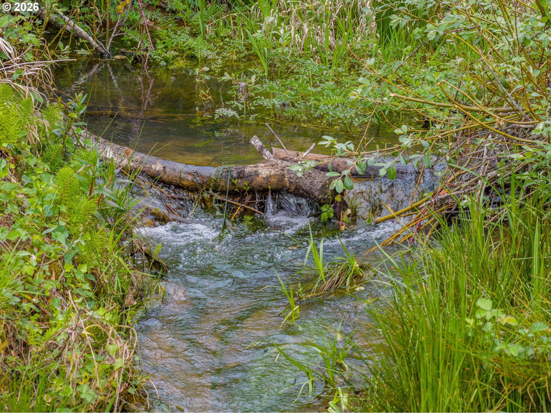 60192 Fairview Road Coquille, OR 97423 - Photo 8 of 44