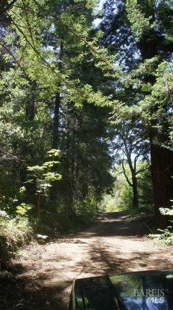2100 Big Ridge Road Healdsburg, CA 95448 - Photo 6 of 20 a view of lake from yard