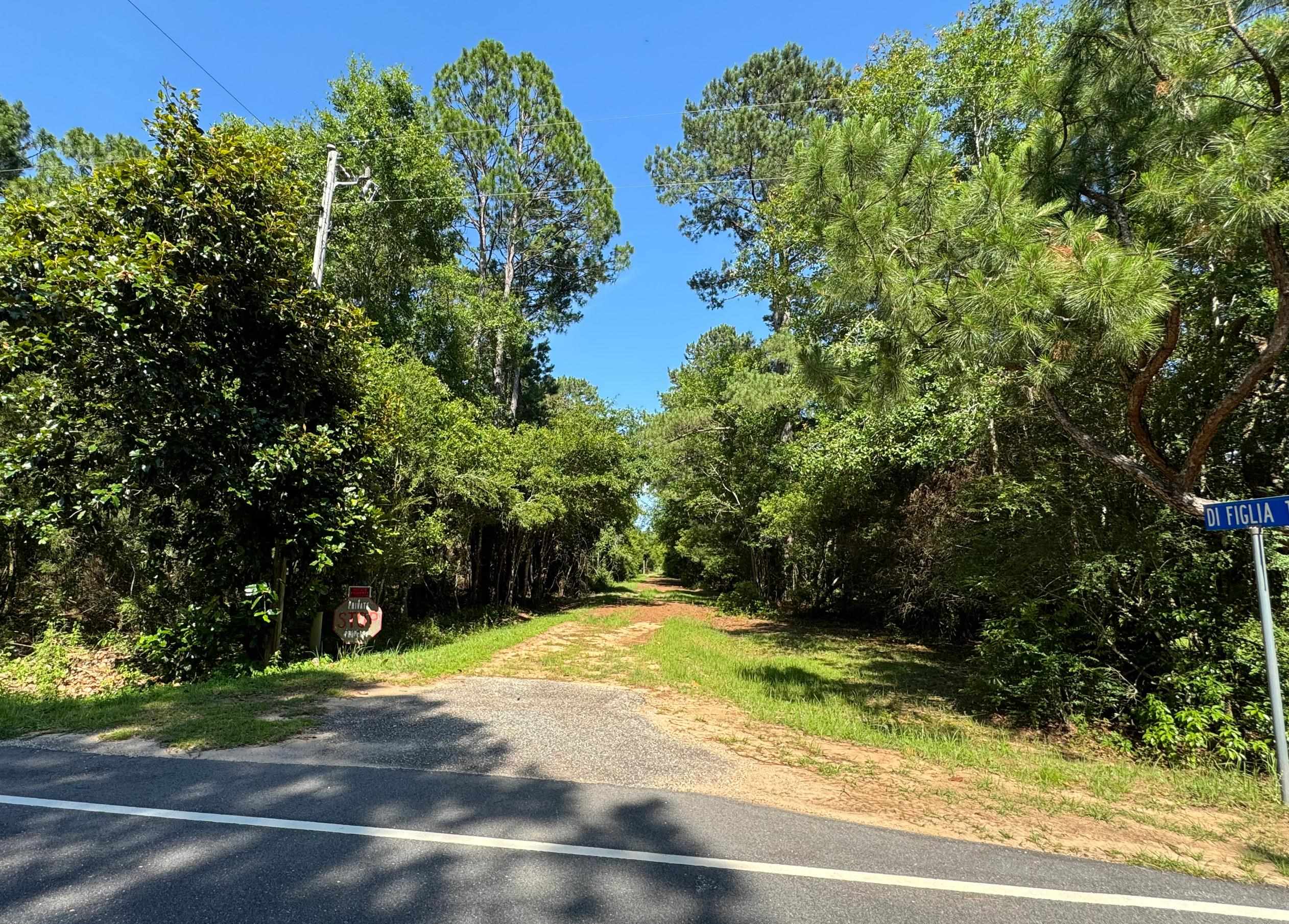 0 Patterson Lane Elberta, AL 36530 - Photo 1 of 6