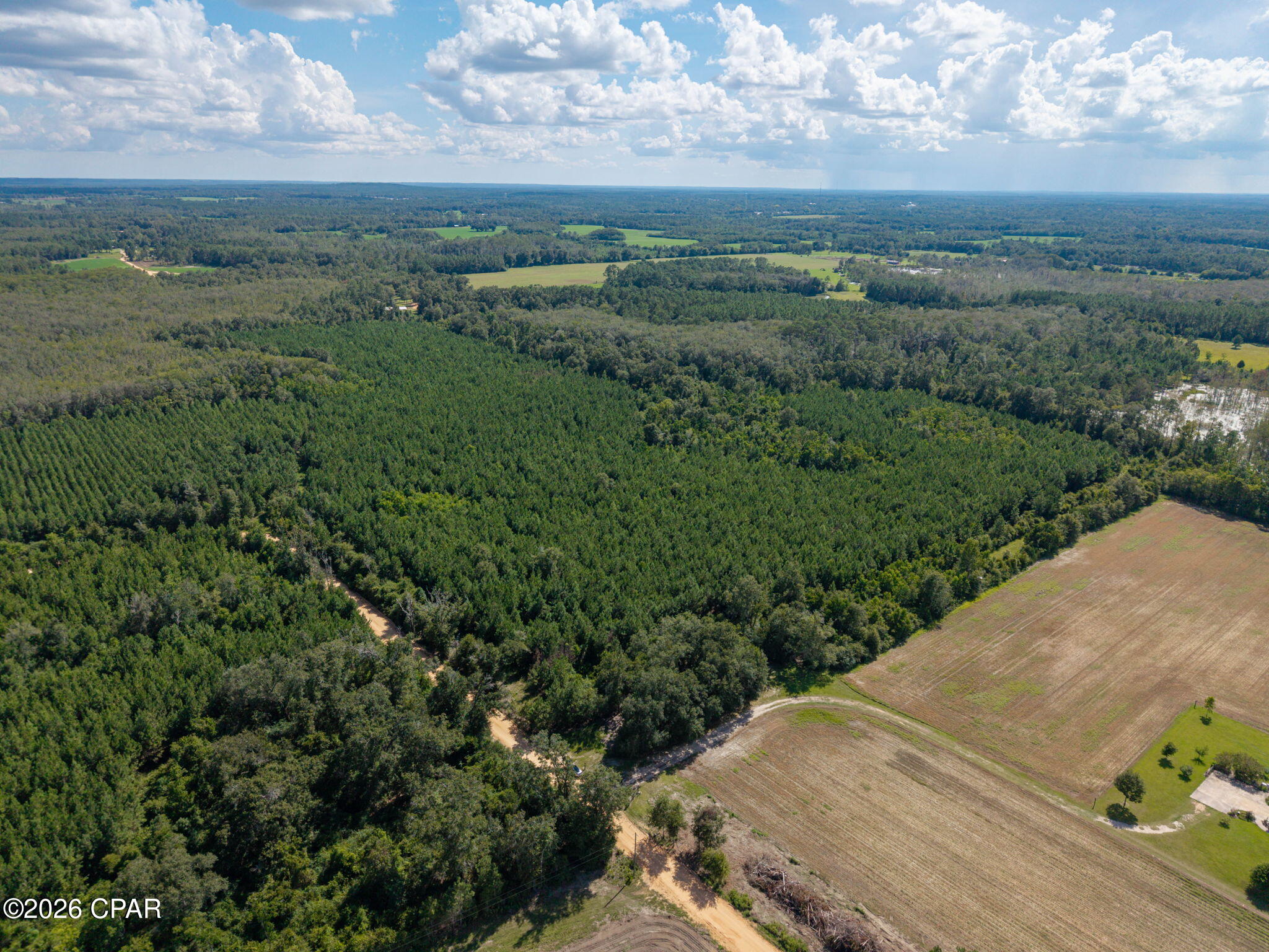 Xxx New Prospect Road Chipley, FL 32428 - Photo 8 of 20 Gallery Image 8