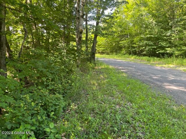 L16.111 Donlan Heights Road Middleburgh, NY 12122 - Photo 17 of 18 IMG_3150