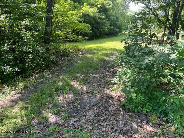 L16.111 Donlan Heights Road Middleburgh, NY 12122 - Photo 6 of 18 IMG_3151