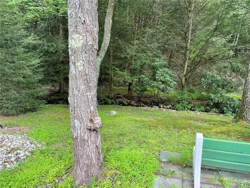 124 Haney Road Kunkletown, PA 18058 - Photo 24 of 24 a view of a garden with a tree