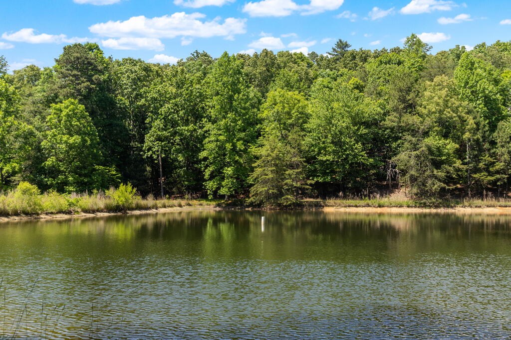 85 Misty Holw Road Ellijay, GA 30536 - Photo 61 of 75 Gallery Image 61