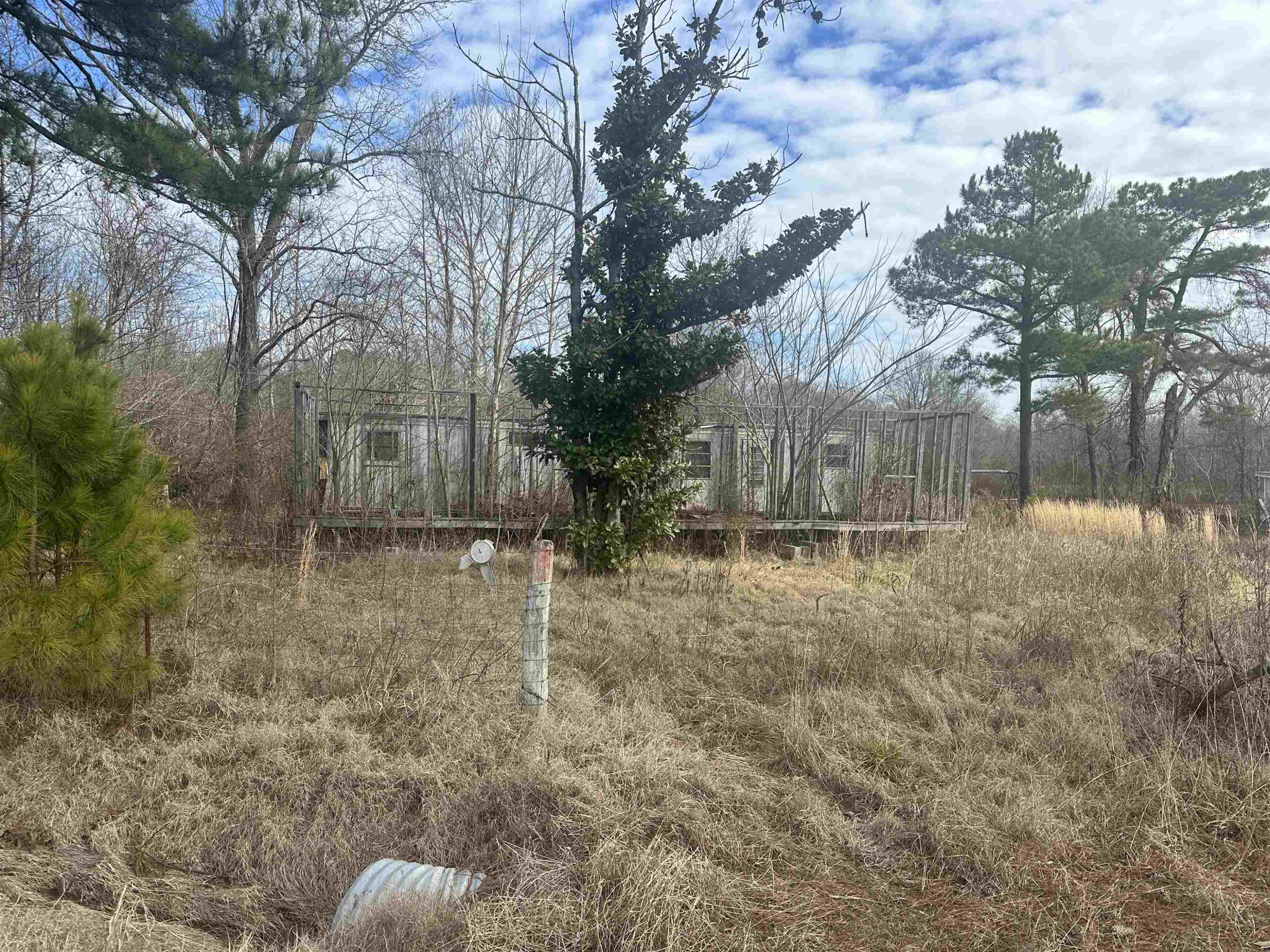 536 Ed Woods Road Jackson, TN 38305 - Photo 1 of 1 a view of backyard of house