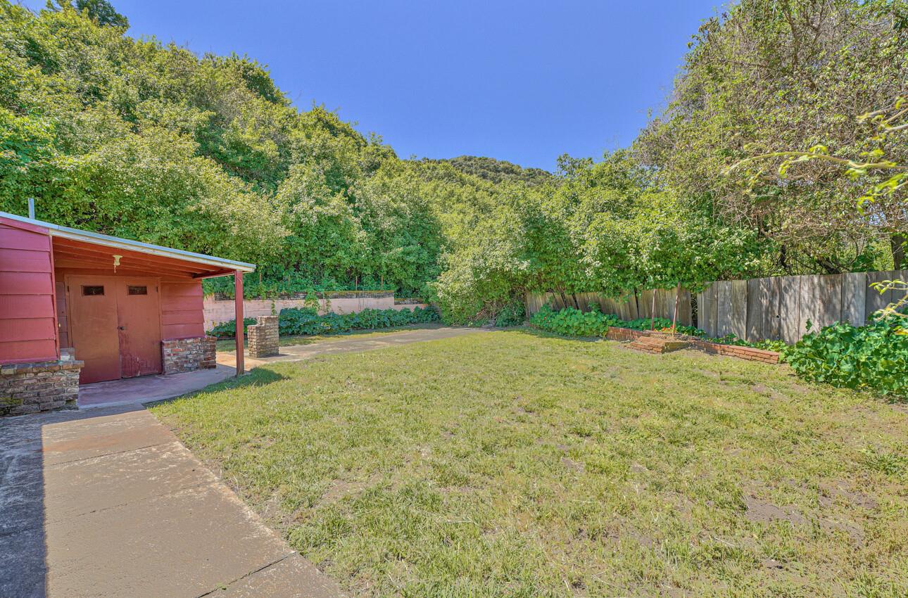 28120 Schulte Road Carmel, CA 93923 - Photo 32 of 42 a backyard of a house with plants and large trees