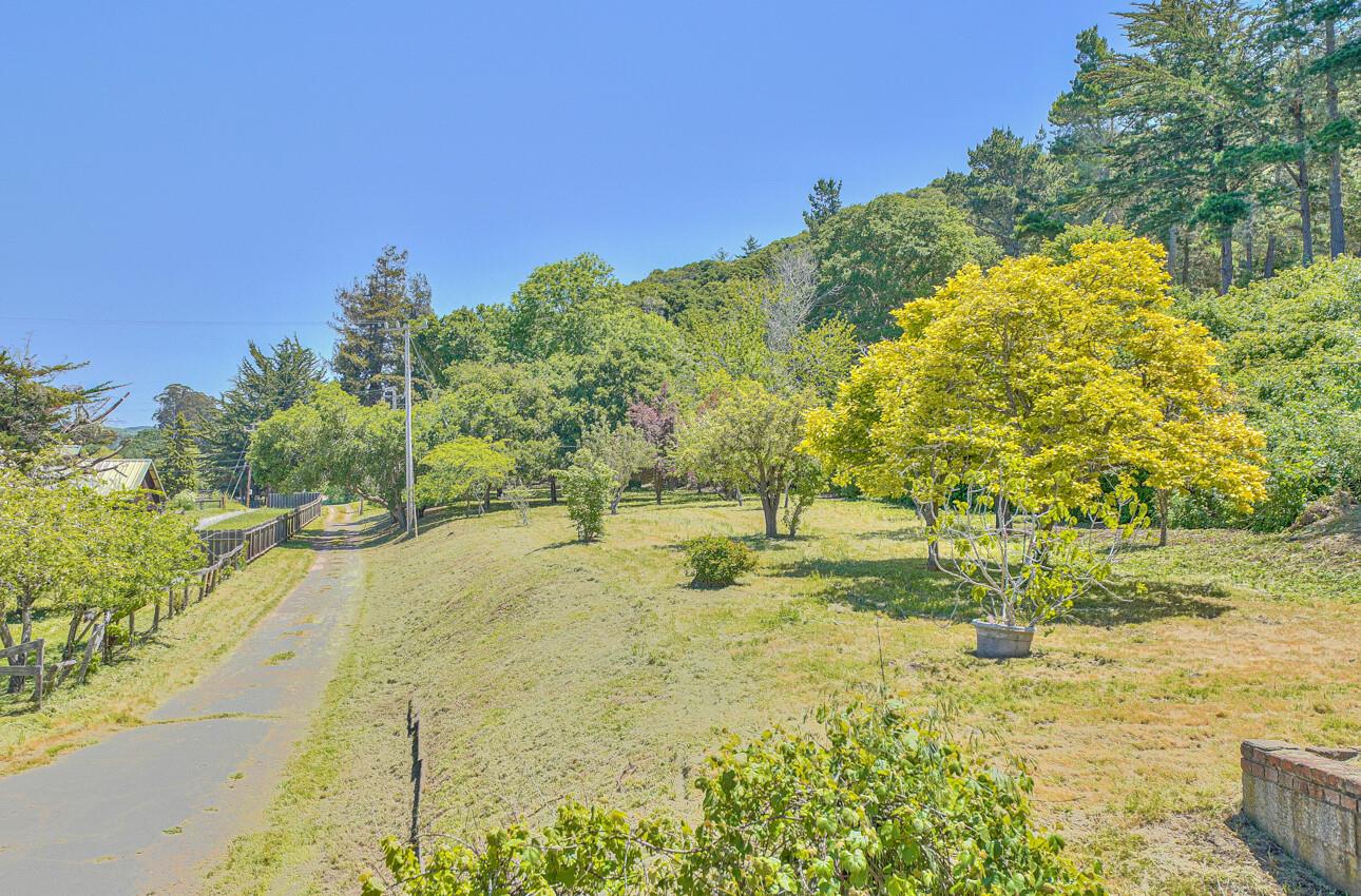 28120 Schulte Road Carmel, CA 93923 - Photo 5 of 42 a view of a yard with yellow lighting