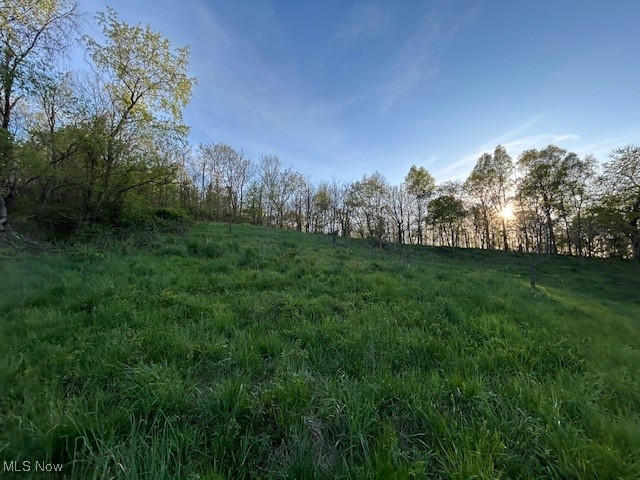 0 Close Road Newport, OH 45768 - Photo 3 of 15 View of local wilderness with rural landscape