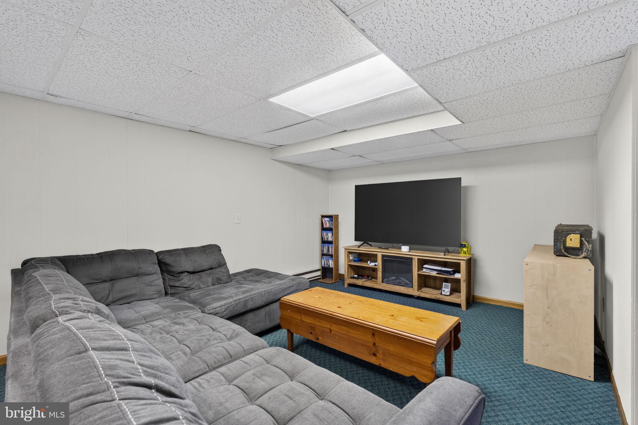 20210 Bent Willow Road Rohrersville, MD 21779 - Photo 61 of 98 Cozy basement retreat for relaxation.