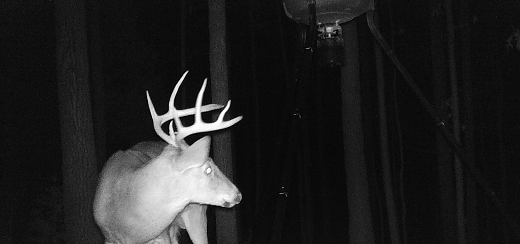 1968 Hadley Road Pine Mountain, GA 31822 - Photo 49 of 59 Hunt at home!