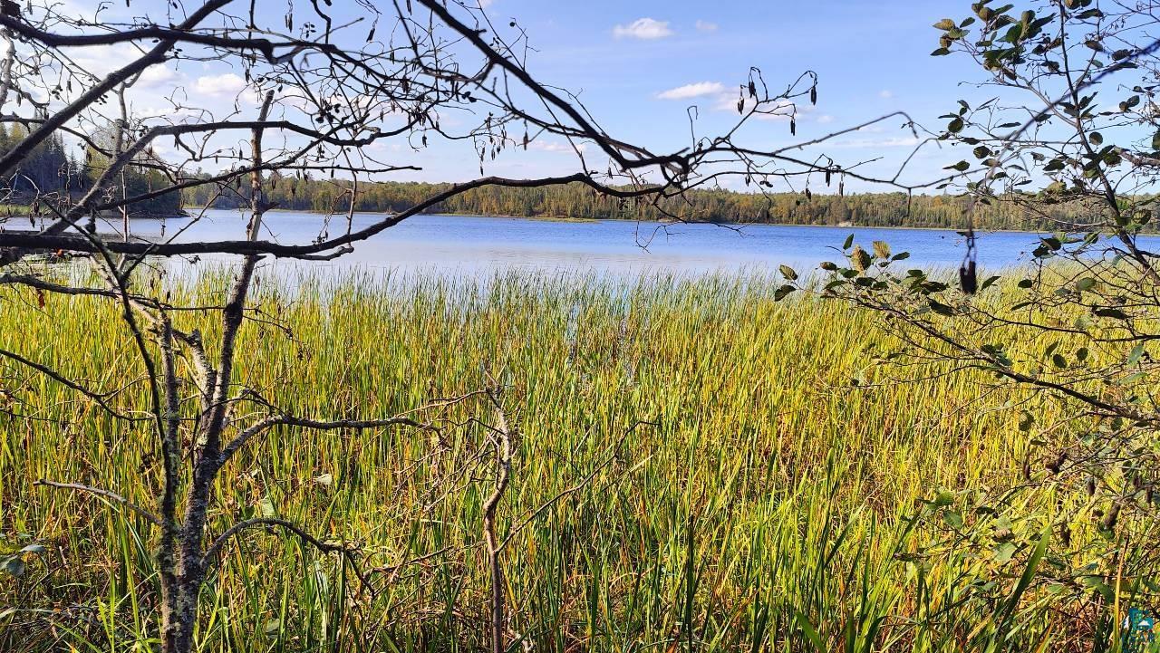 Tbd Koski Road Tower, MN 55790 - Photo 15 of 17 View of water feature
