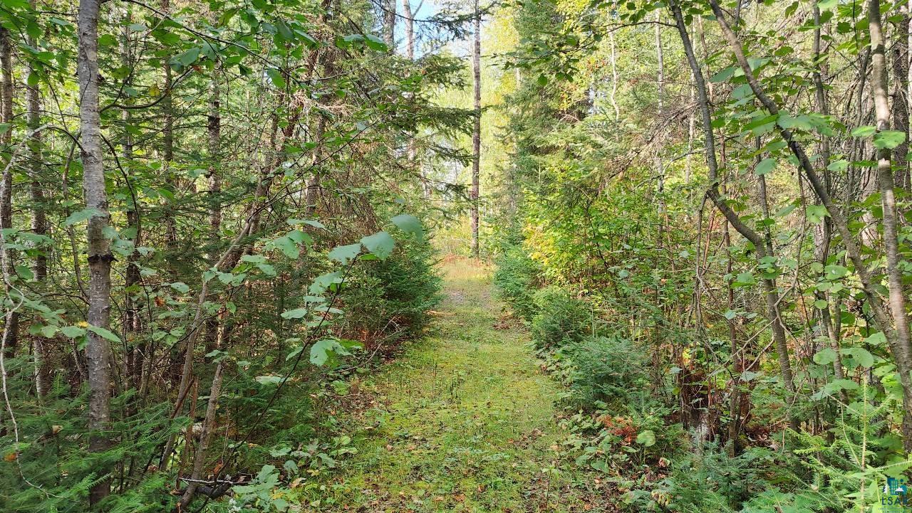 Tbd Koski Road Tower, MN 55790 - Photo 3 of 17 View of local wilderness