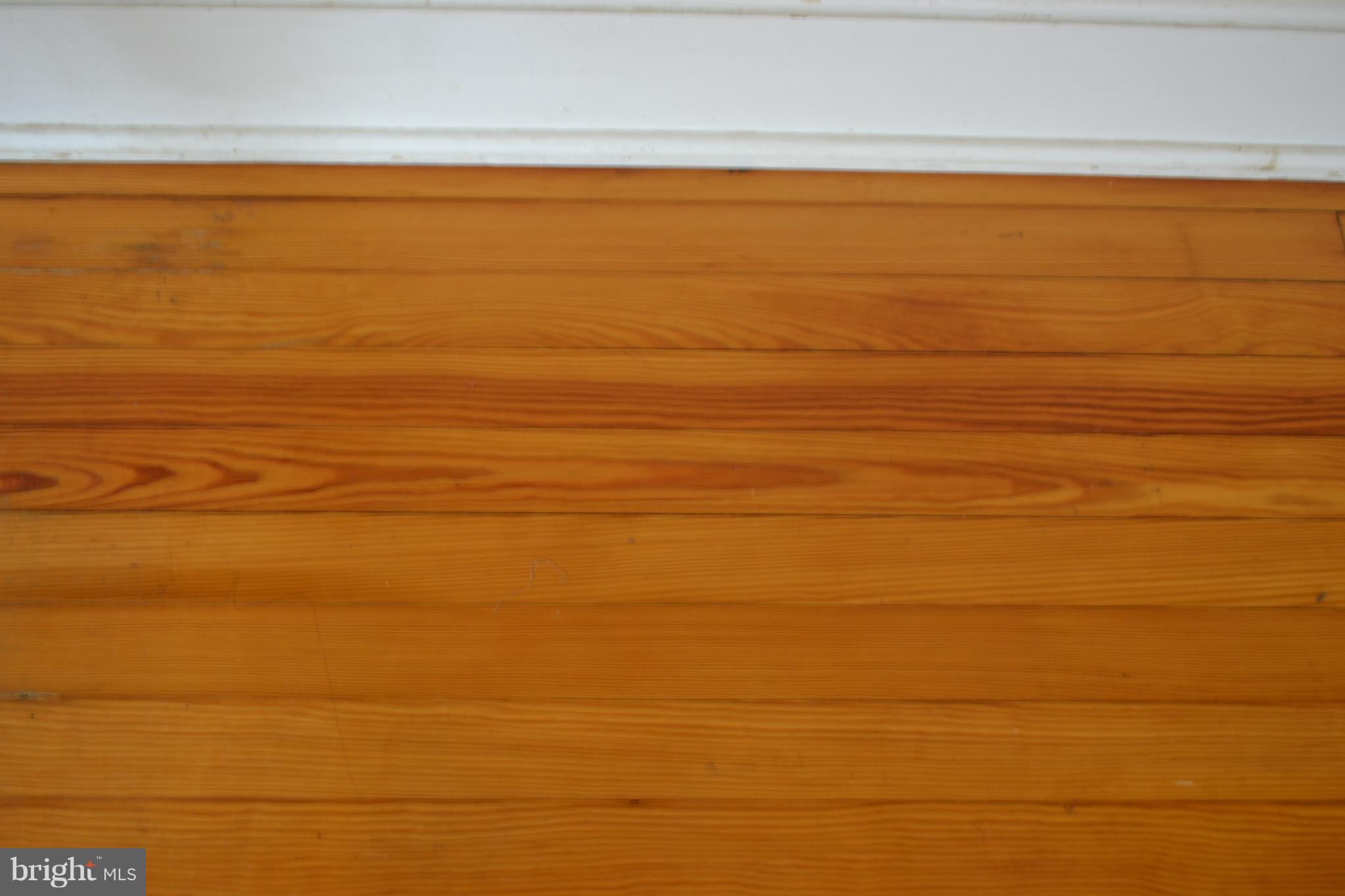 109 Locust Lane Elkton, MD 21921 - Photo 14 of 47 Wood floors throughout- Lots of potential
