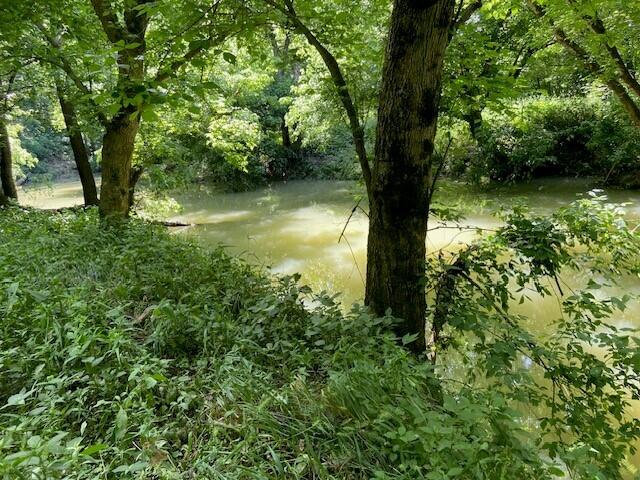 113 Lee's Creek Road Dover, KY 41034 - Photo 2 of 30 11