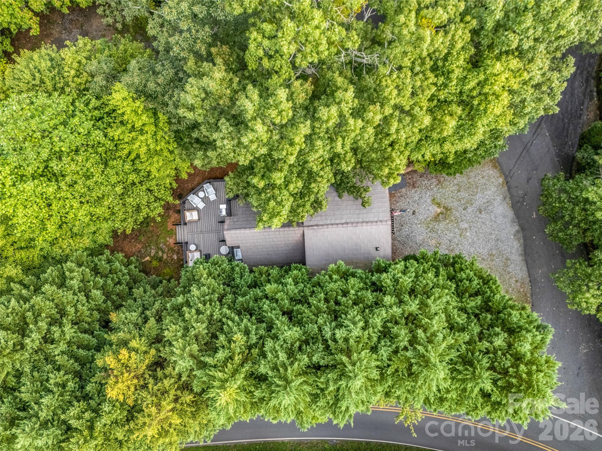 105 Sunset Cove Road Lake Lure, NC 28746 - Photo 33 of 44